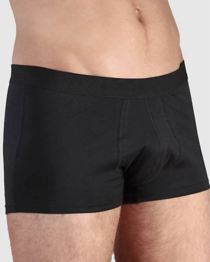 Trunk Shorts