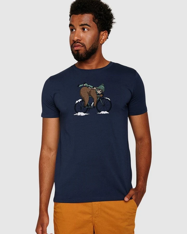 Animal Sloth Ice Guide