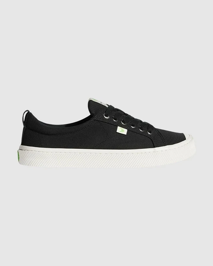 Oca Low Canvas