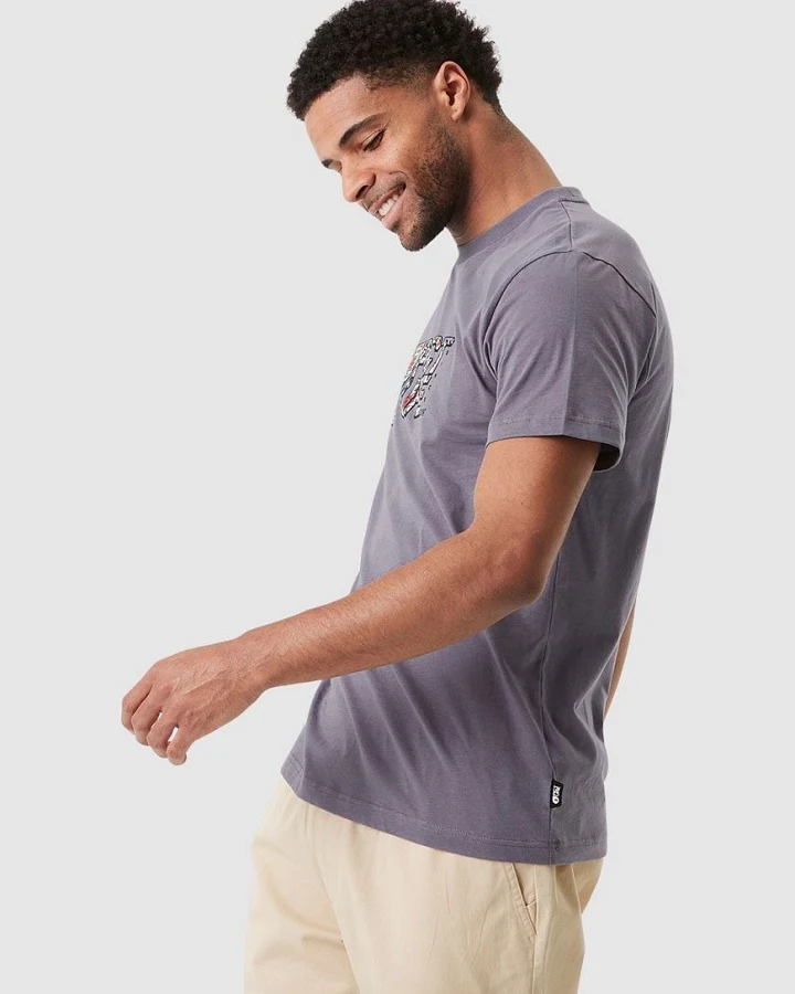 Basement Aster T