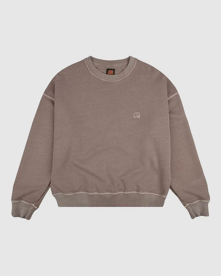 Women's Essential Pigment Heavyweight Oversized Sweater