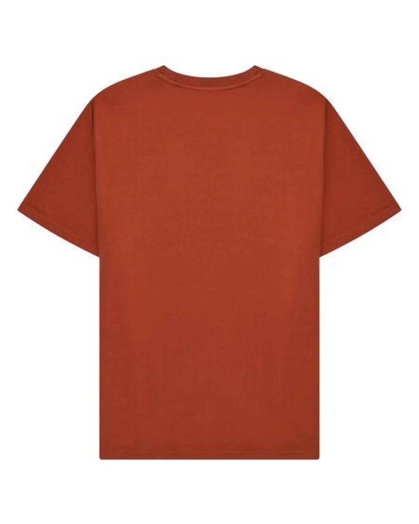 KnowledgeCotton Apparel T-Shirt mit Front-Print aus Bio-Baumwolle – Ansicht 3