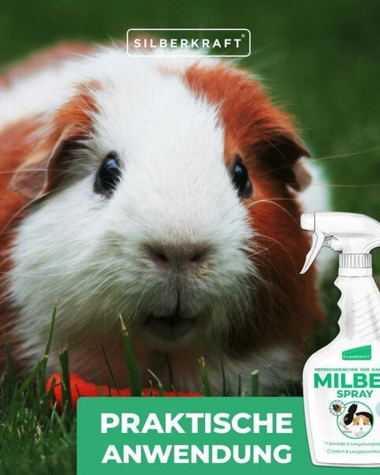 Silberkraft Milbenspray Meerschweinchen, Kaninchen & Kleintiere 500 ml – Ansicht 4