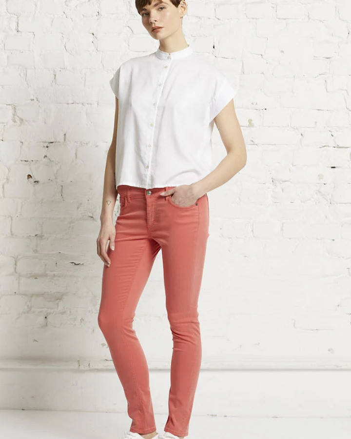 536 - Coral