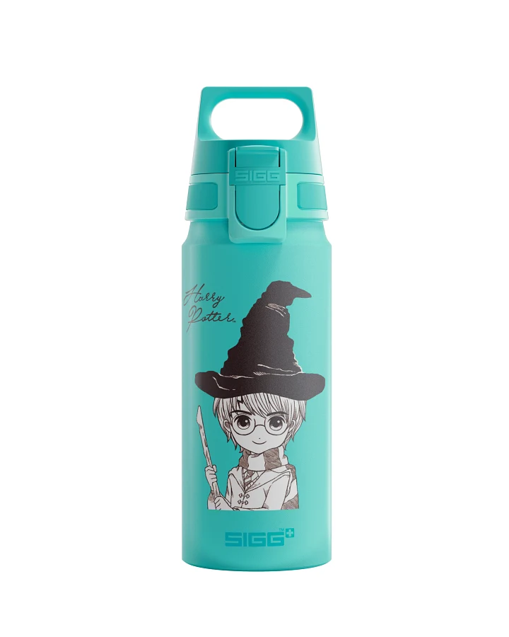 Kinder Trinkflasche WMB ONE Kids Harry Potter Harry Potter 0.6 L