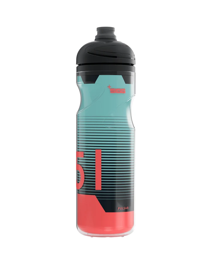 Thermo Trinkflasche Pulsar Therm Frost 0.65 L