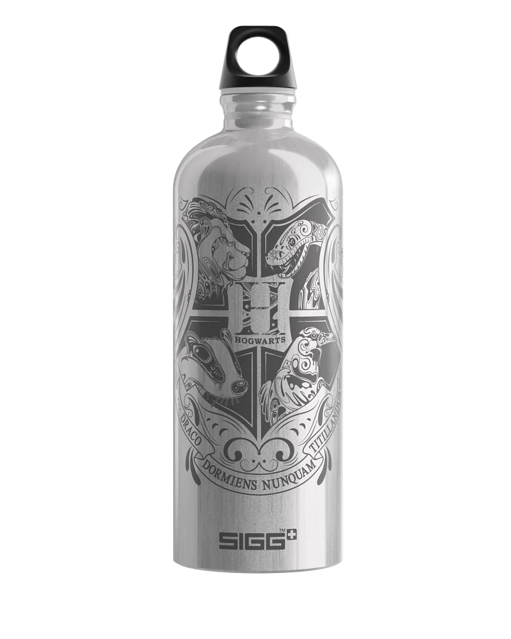 Kinder Trinkflasche Traveller Harry Potter Hogwarts 1 L
