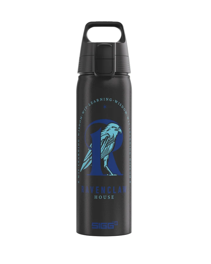 Trinkflasche WMB ONE Ravenclaw 0.75 L 0.75 L