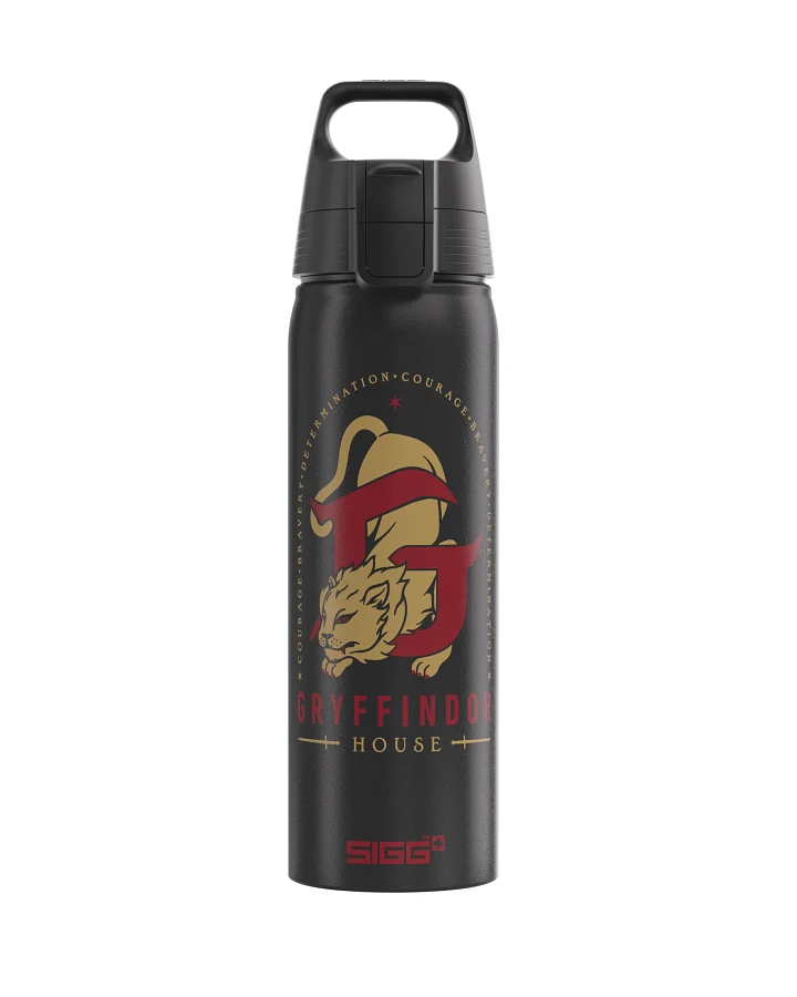 Trinkflasche WMB ONE Gryffindor 0.75 L 0.75 L