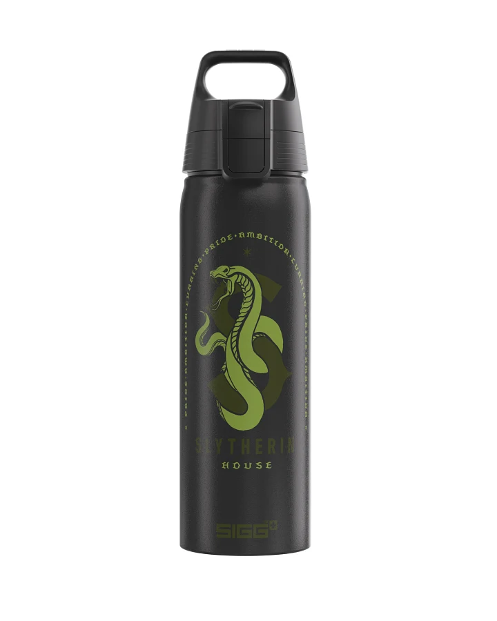 Trinkflasche WMB ONE Slytherin 0.75 L 0.75 L