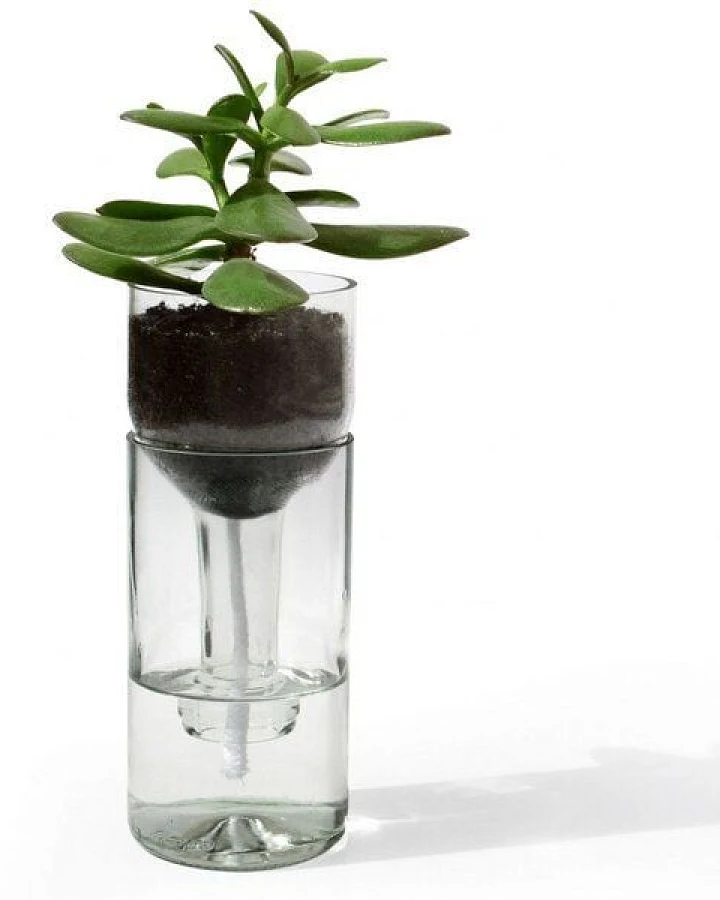 Side by Side Self Watering Bottle / Blumenbewässerungssystem
