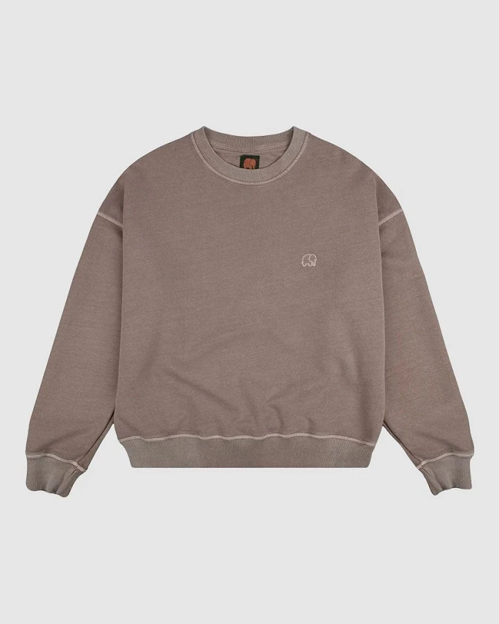 Women's Essential Pigment Heavyweight Oversized Sweater
