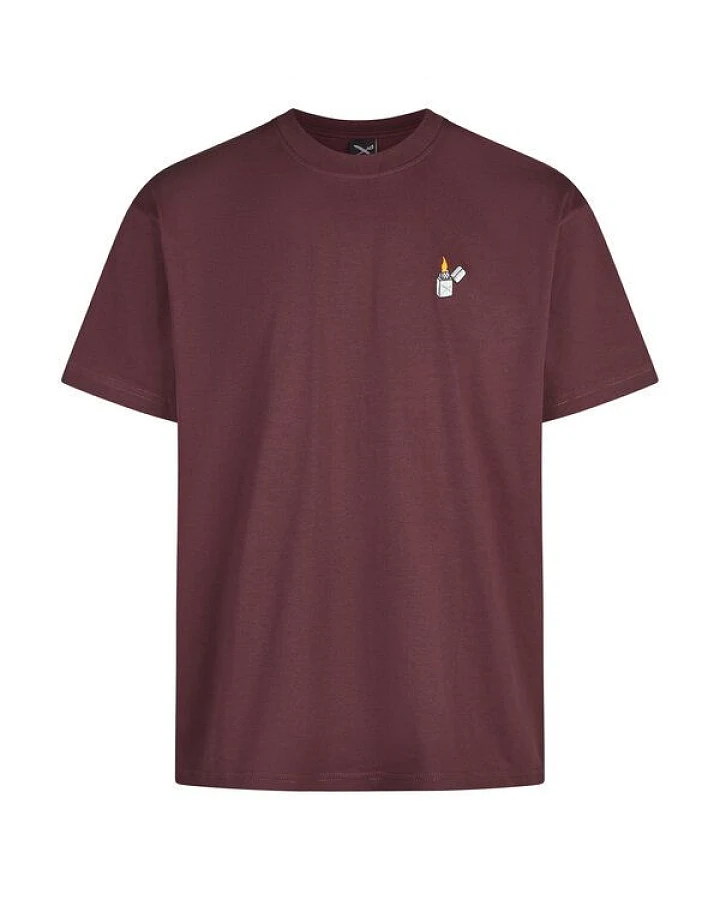 Iriedaily Flaglighter T-Shirt