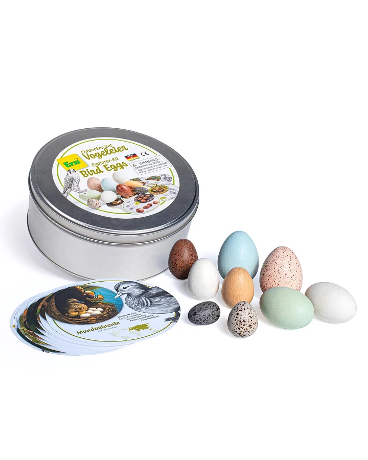 erzi - Entdecker-Set Vogeleier