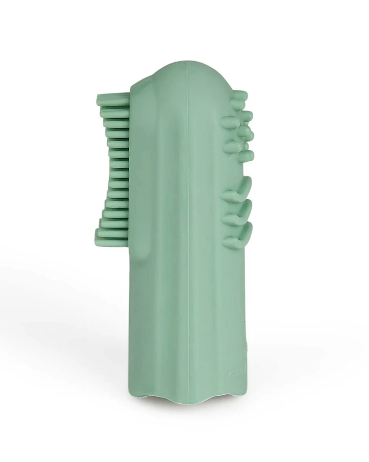 Grünspecht - Fingerzahnbürste