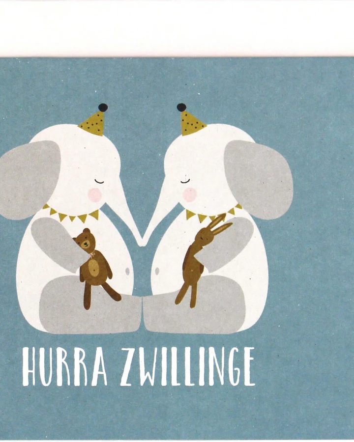 ava&yves - Geburtskarte Zwillinge Elefanten