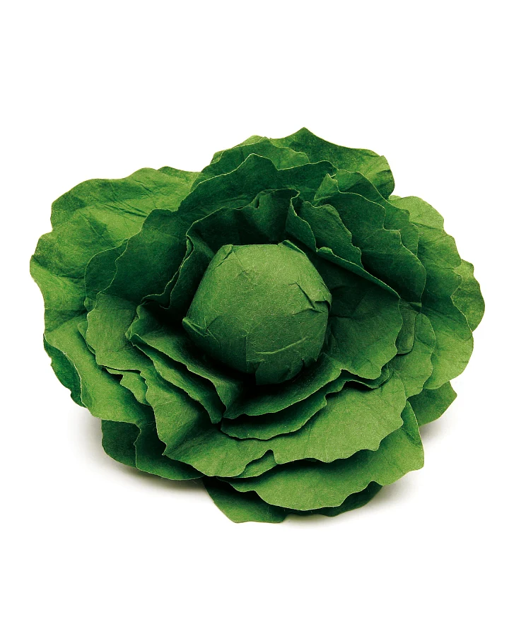 erzi - Salatkopf