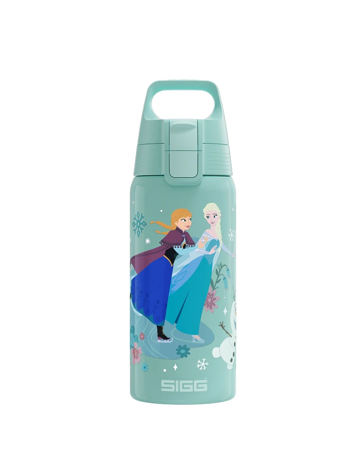 Kinder Trinkflasche Shield Therm One Kids Disney Frozen 0.5 L