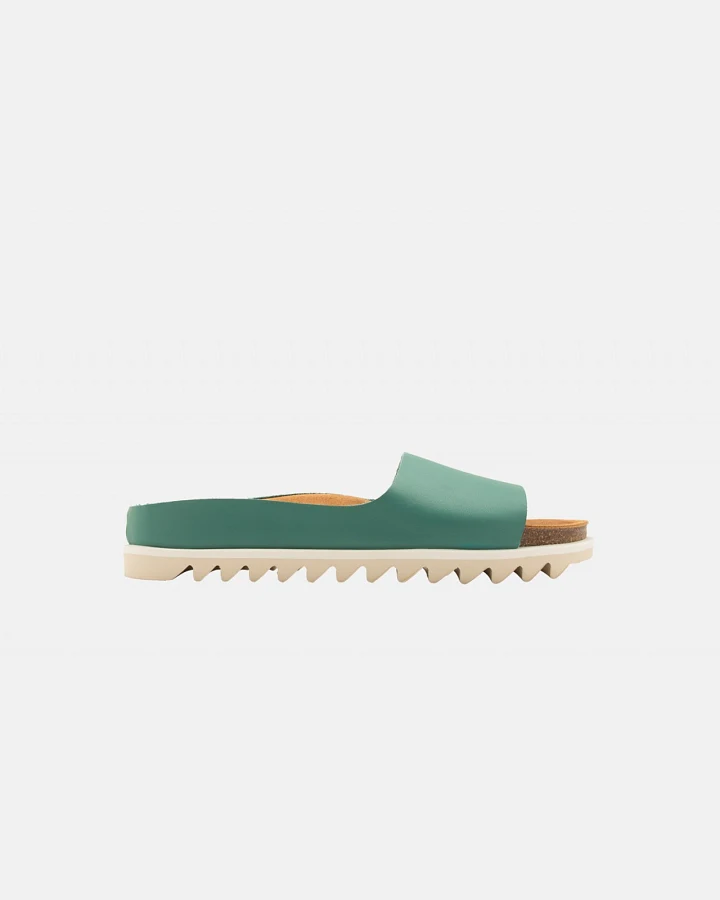 Palm Sandal Alga