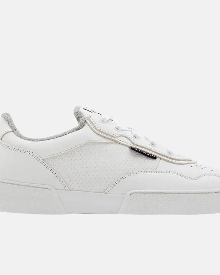 Daisy All White