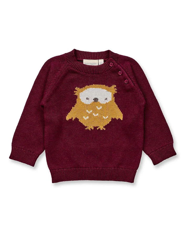 Baby Strickpullover mit Eulenmotiv, Modell NAVIN