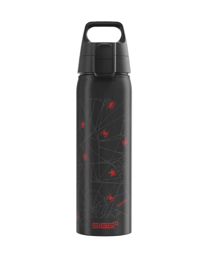 Trinkflasche WMB ONE Marvel Spiderman Webs 0.75 L