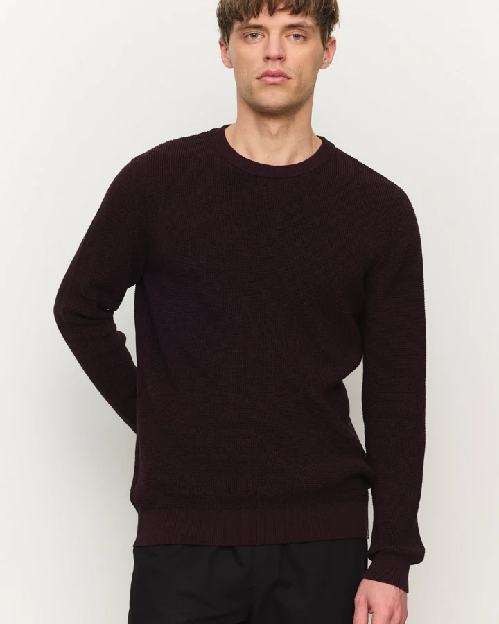 Recolution Herren vegan Pullover Bacopa Dark Plum