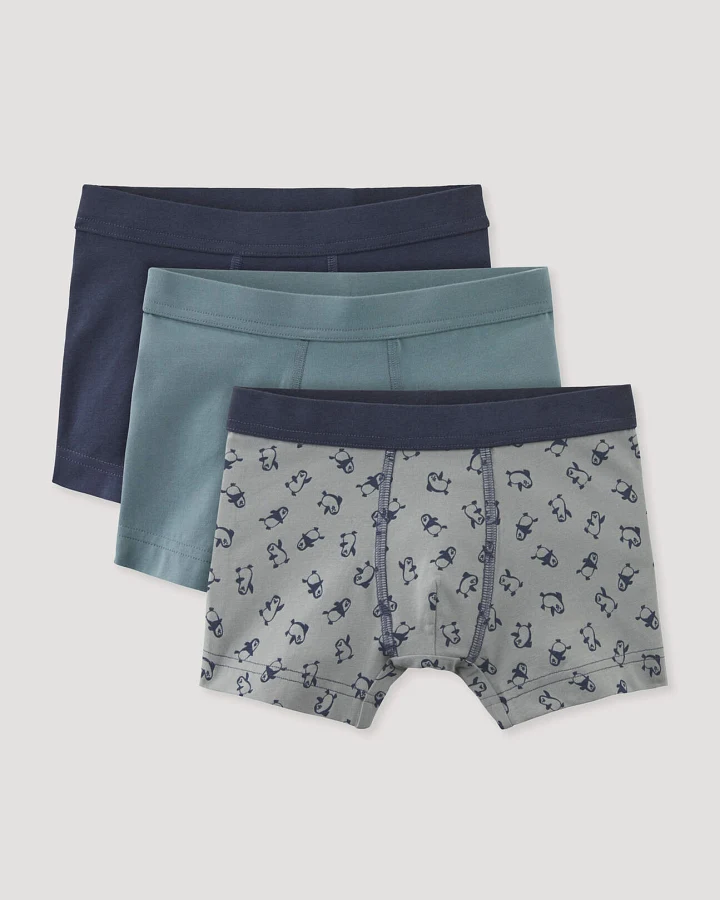 hessnatur Kinder Jungen Pants Regular Cut im 3er-Pack aus Bio-Baumwolle - blau - Größe 110/116