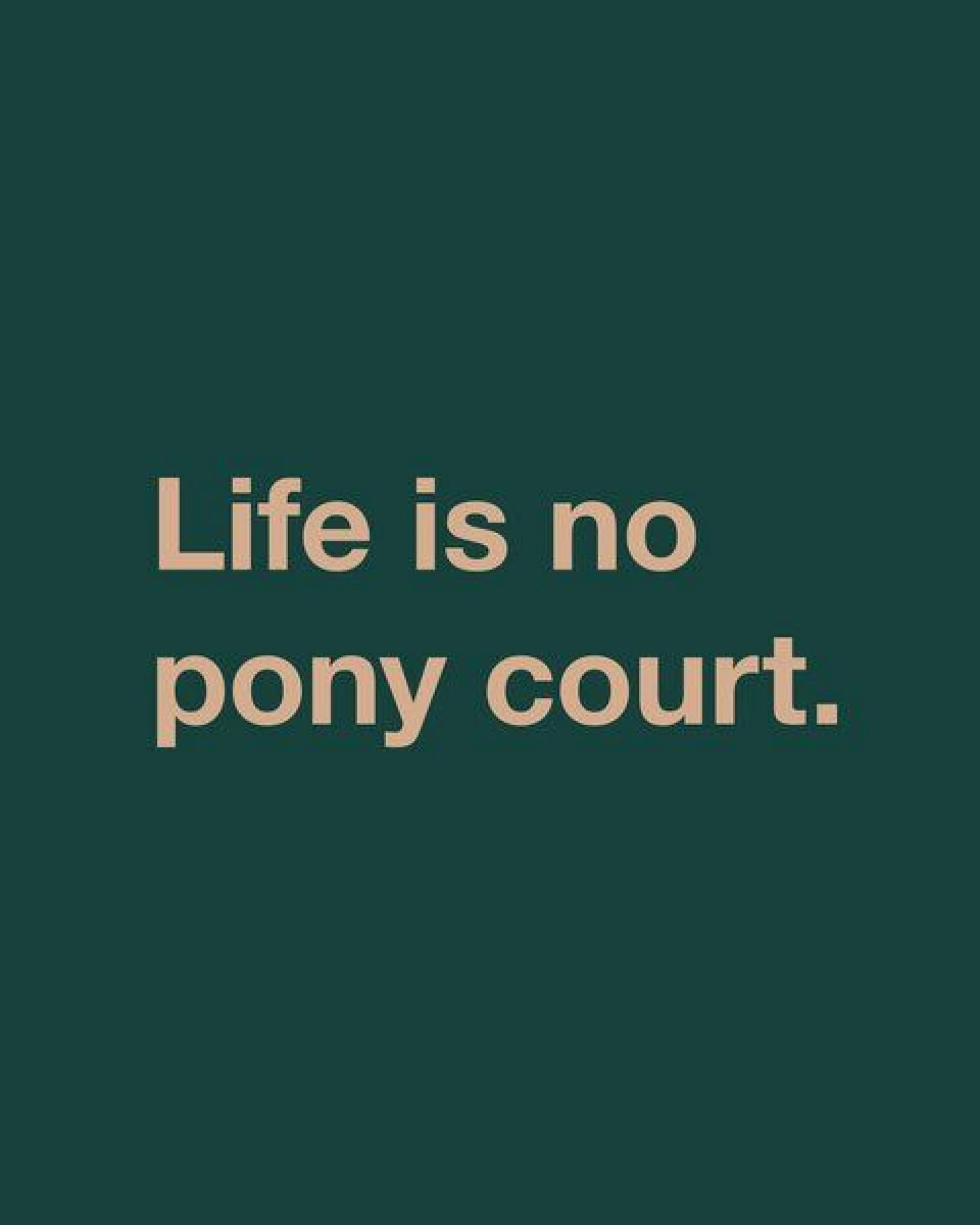 GARY MASH Shirt Asheville Life is no pony court aus Bio-Baumwolle – Ansicht 2
