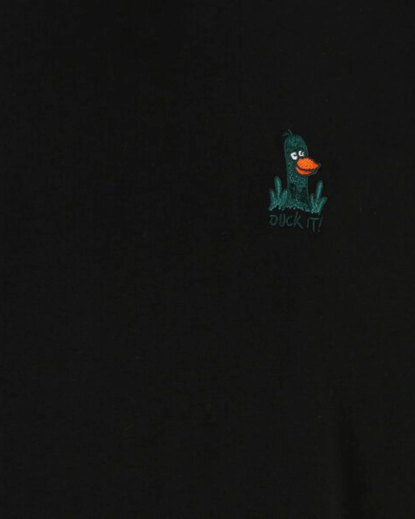 Iriedaily What The Duck Tee – Ansicht 3