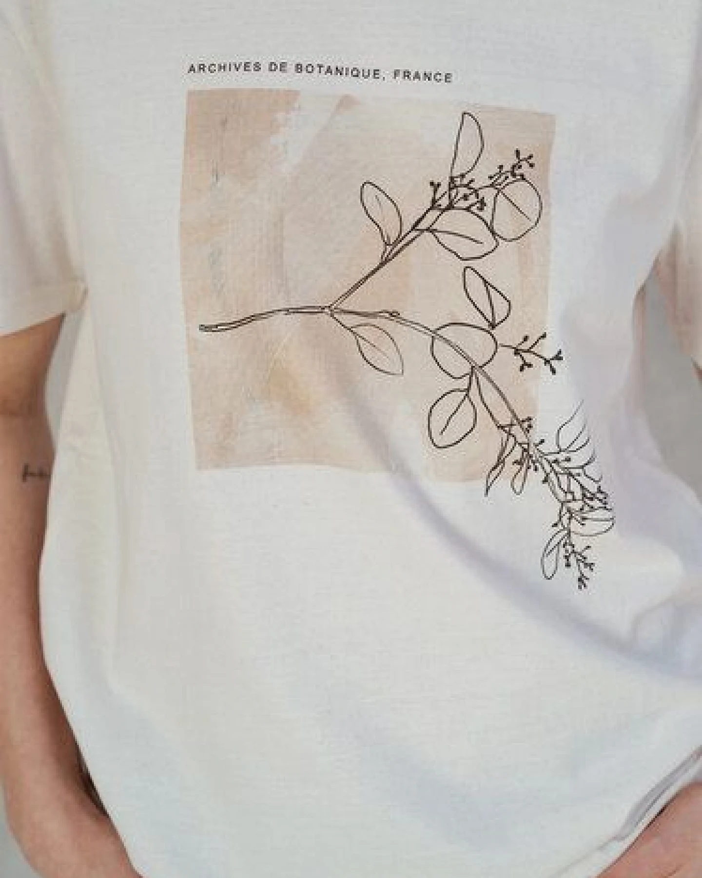 Kultgut Artdesign - Shirt aus recycelter Biobaumwolle / Archive de Botanique – Ansicht 4