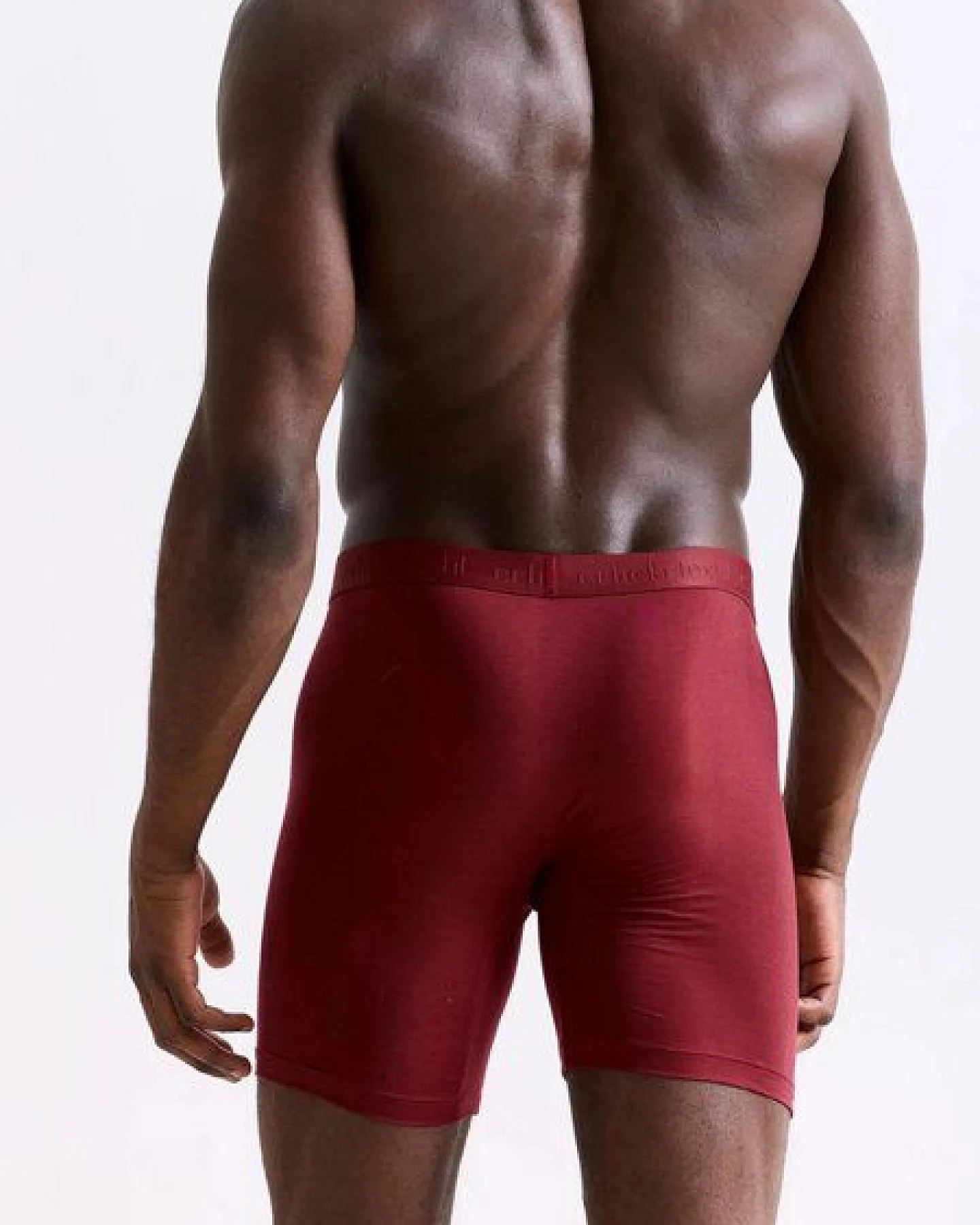 erlich textil Light Touch lange Pants, enge lange Boxershorts aus weichem Modal, made in Europe – Ansicht 2