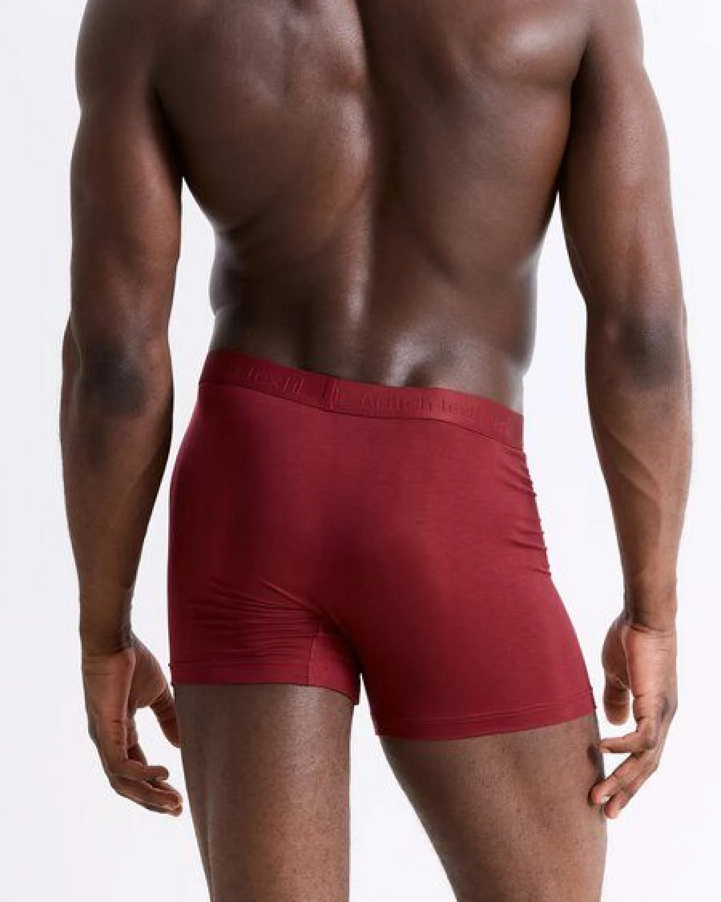 erlich textil Light Touch Pants, enge Boxershorts aus weichem Modal, made in Europe – Ansicht 2