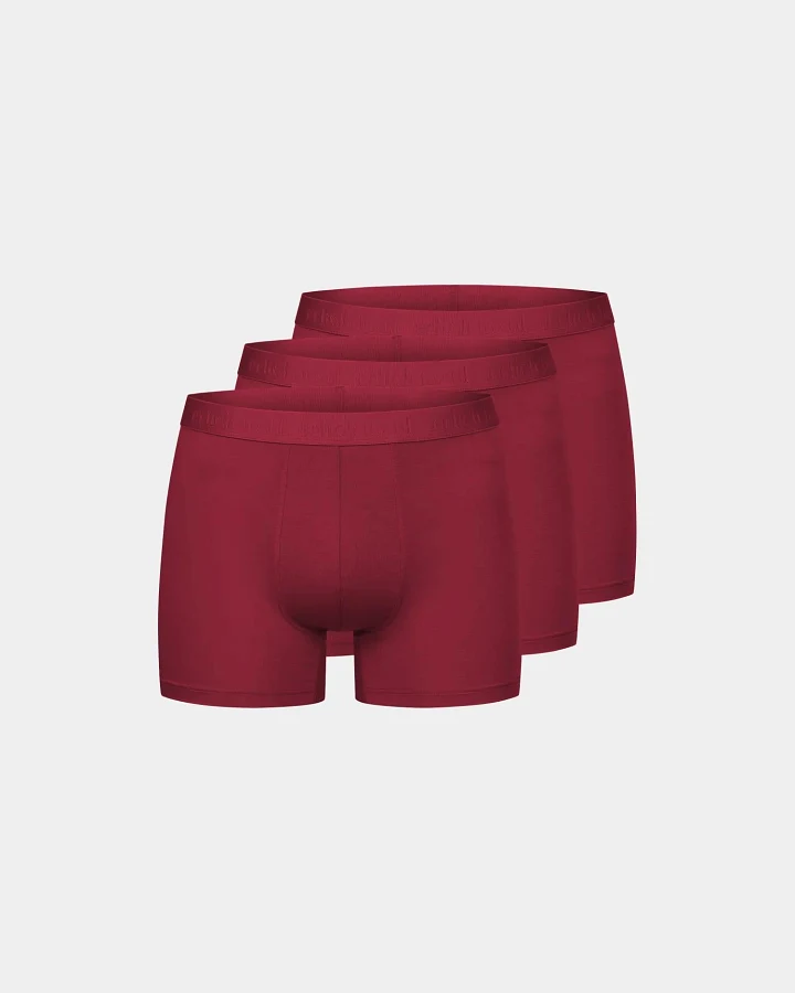 Produktseite: erlich textil Light Touch Pants im 3er Pack für Männer aus Lyocell in bordeaux