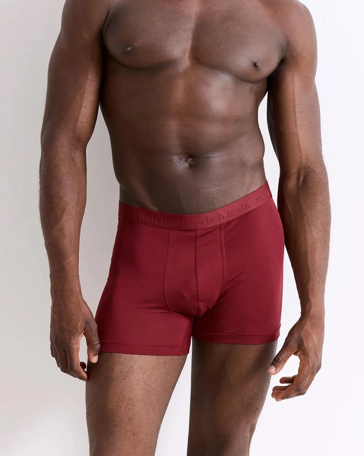 erlich textil Light Touch Pants für Männer aus Lyocell in bordeaux