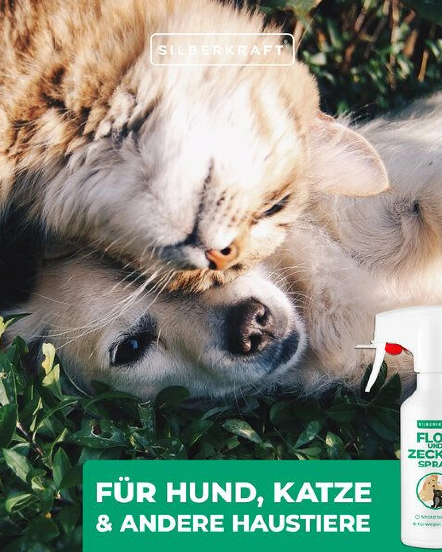 Silberkraft Floh - und Zeckenspray für Hund & Katze – Ansicht 4