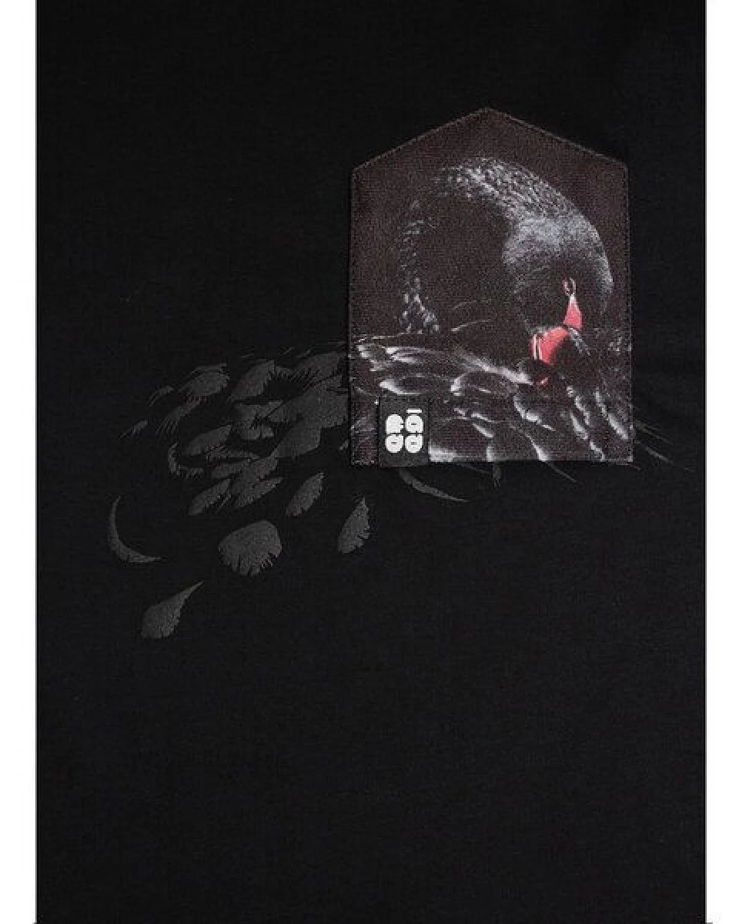FÄDD Damen T-Shirt Rundhals aus Bio-Baumwolle "Schwarzes Schwan BT" Schwarz – Ansicht 2