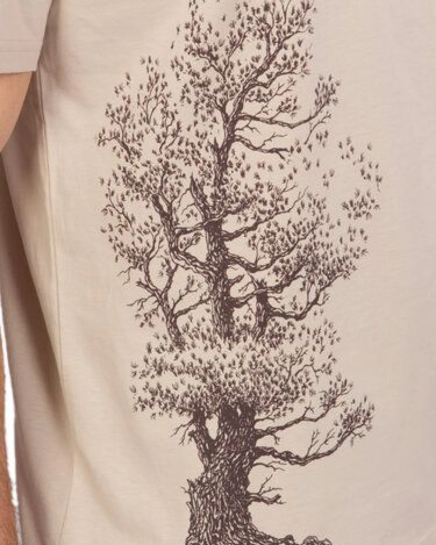 Life-Tree Organic Fairwear Shirt Men Fairwear Organic Desert Dust Pine Tree – Ansicht 4
