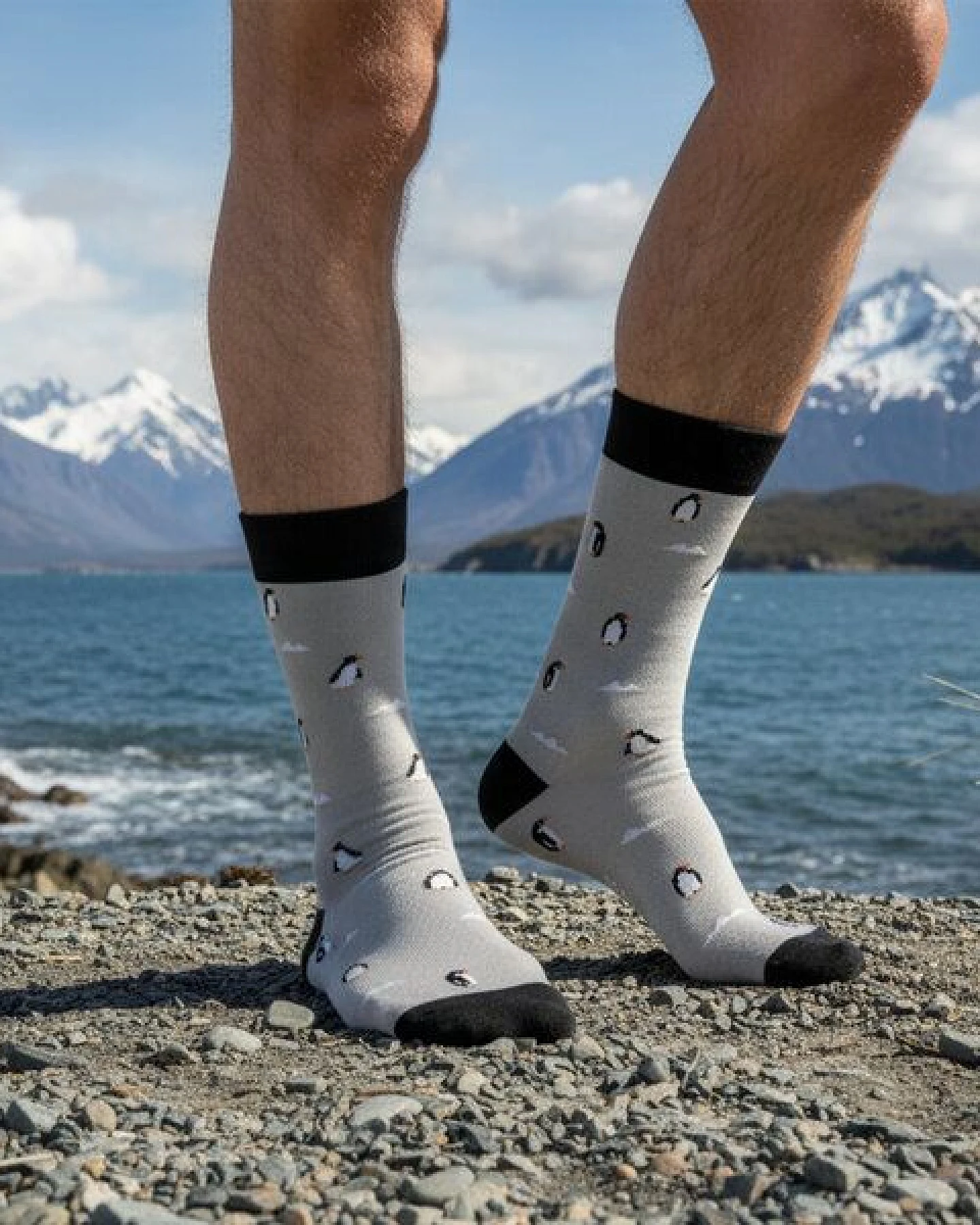 The Arctic Bay Baumwollsocken aus Bio-Baumwolle – Austral Edition (4er Set) – Ansicht 3