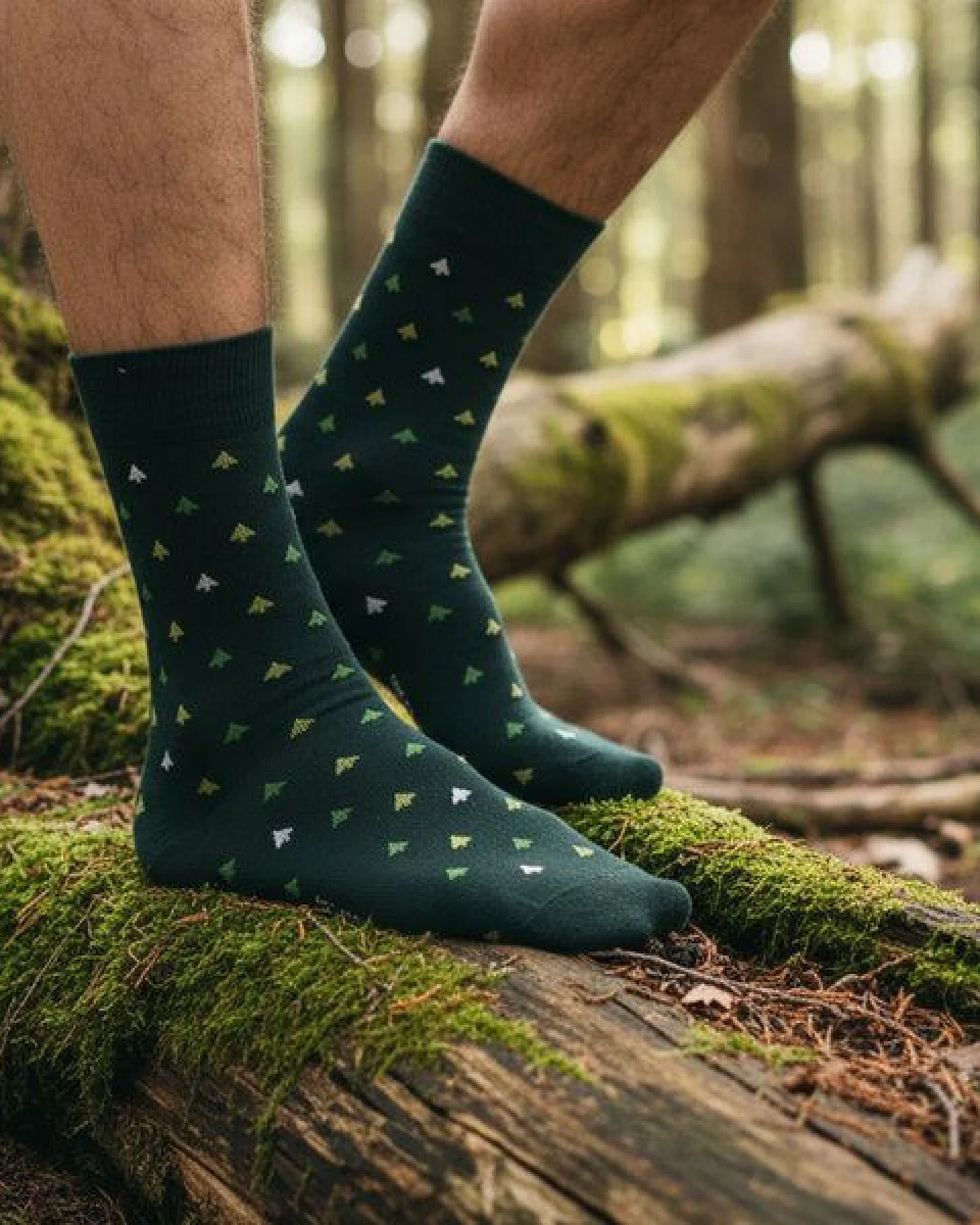 The Arctic Bay Baumwollsocken aus Bio-Baumwolle – Shinrin Edition (4er Set) – Ansicht 3