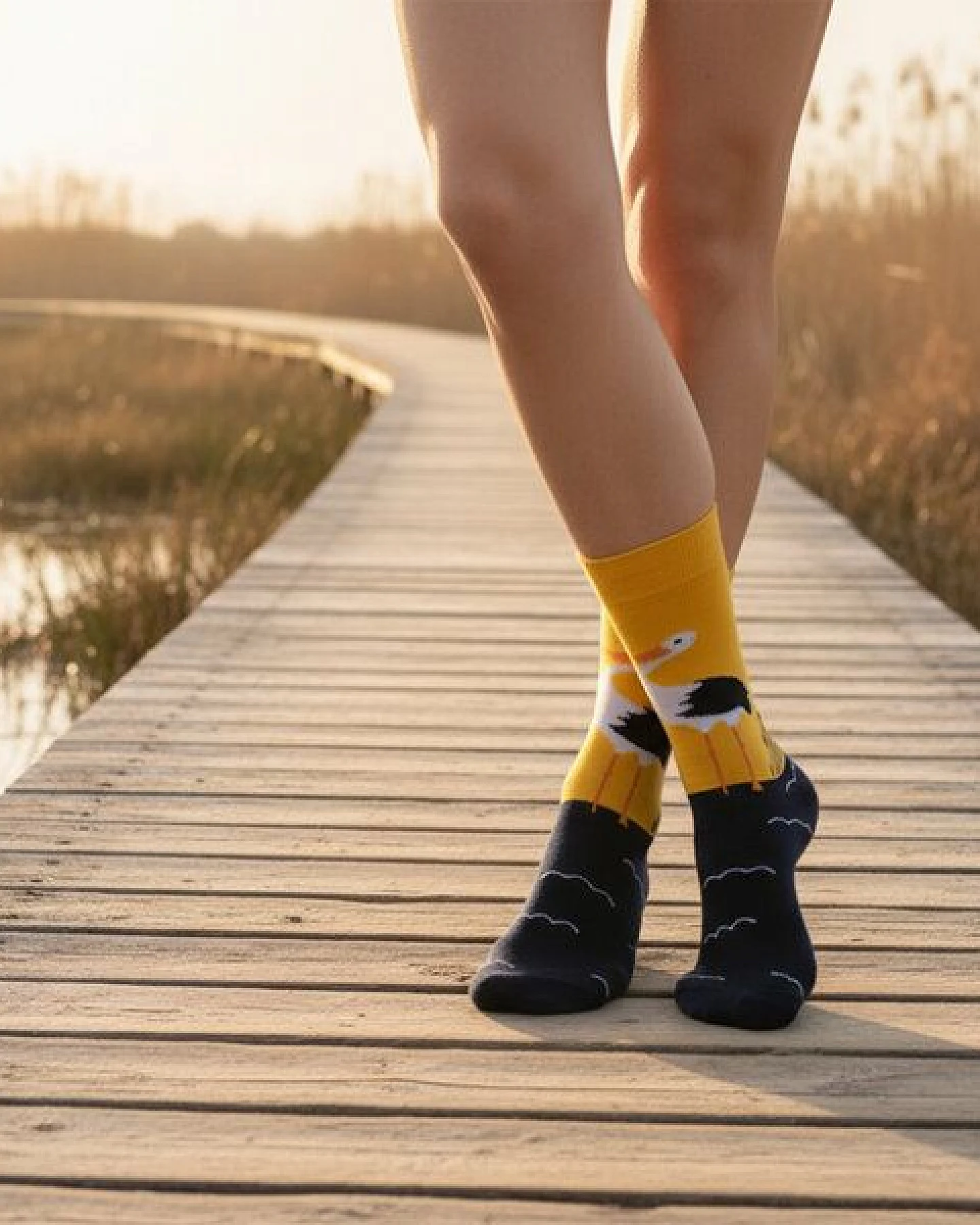 The Arctic Bay Bio-Baumwollsocken 4 Paar – Zora Edition – Doppelfadig, Weich & Bequem – Nachhaltig & Hergestellt in EU – Ansicht 4