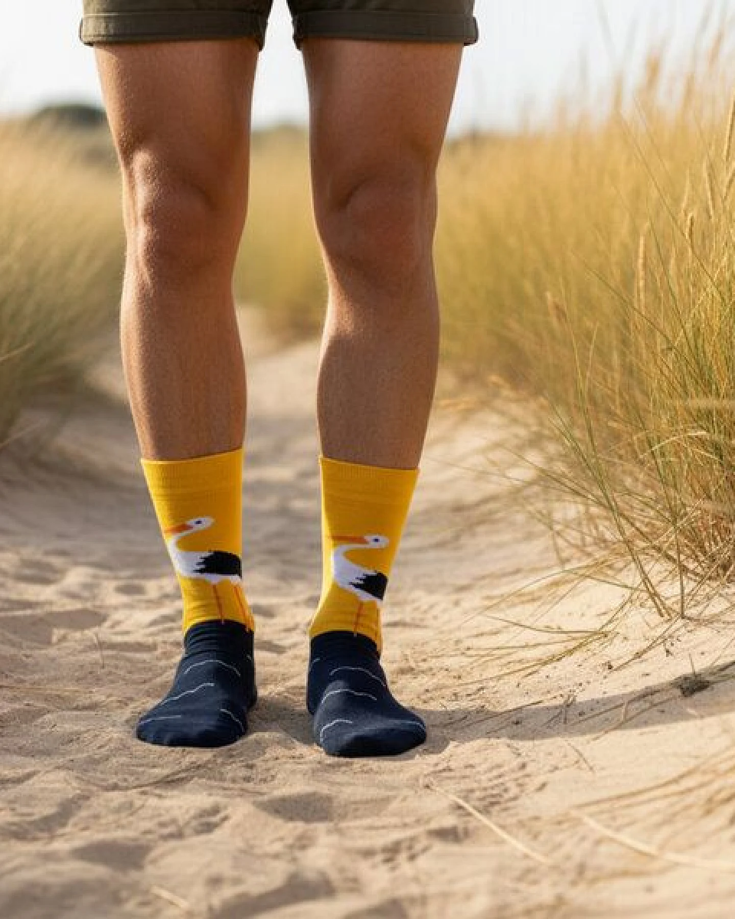 The Arctic Bay Bio-Baumwollsocken 4 Paar – Zora Edition – Doppelfadig, Weich & Bequem – Nachhaltig & Hergestellt in EU – Ansicht 4