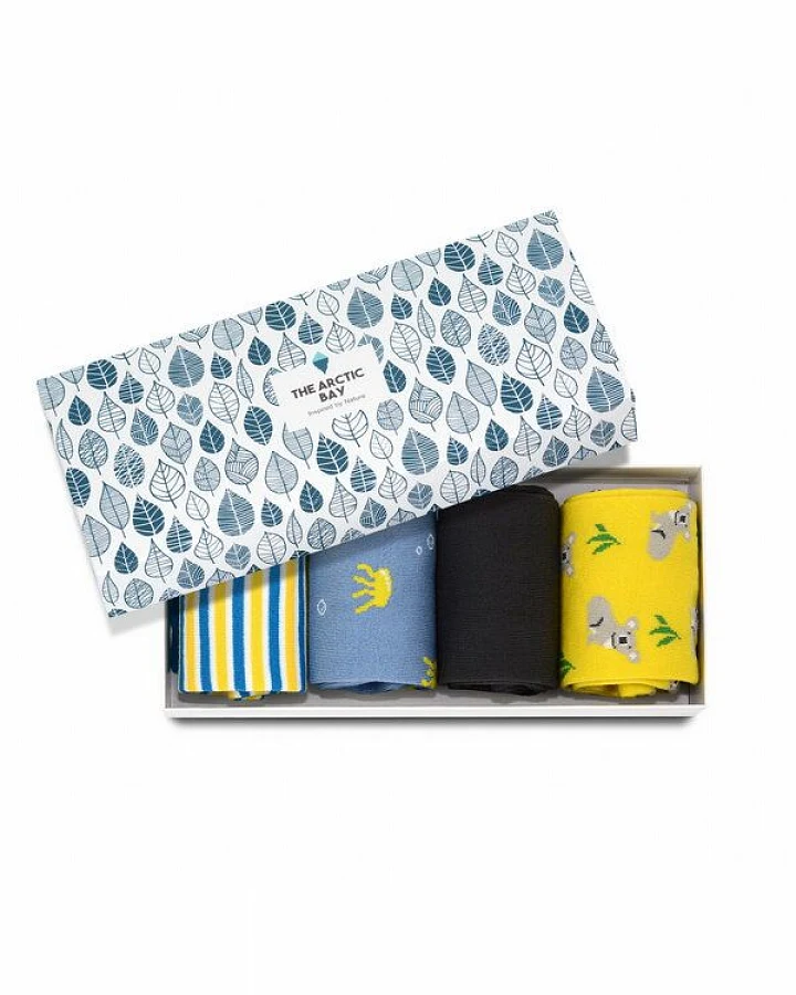 The Arctic Bay Die Arctic Box - Manbarra Edition - 4 Paar Socken