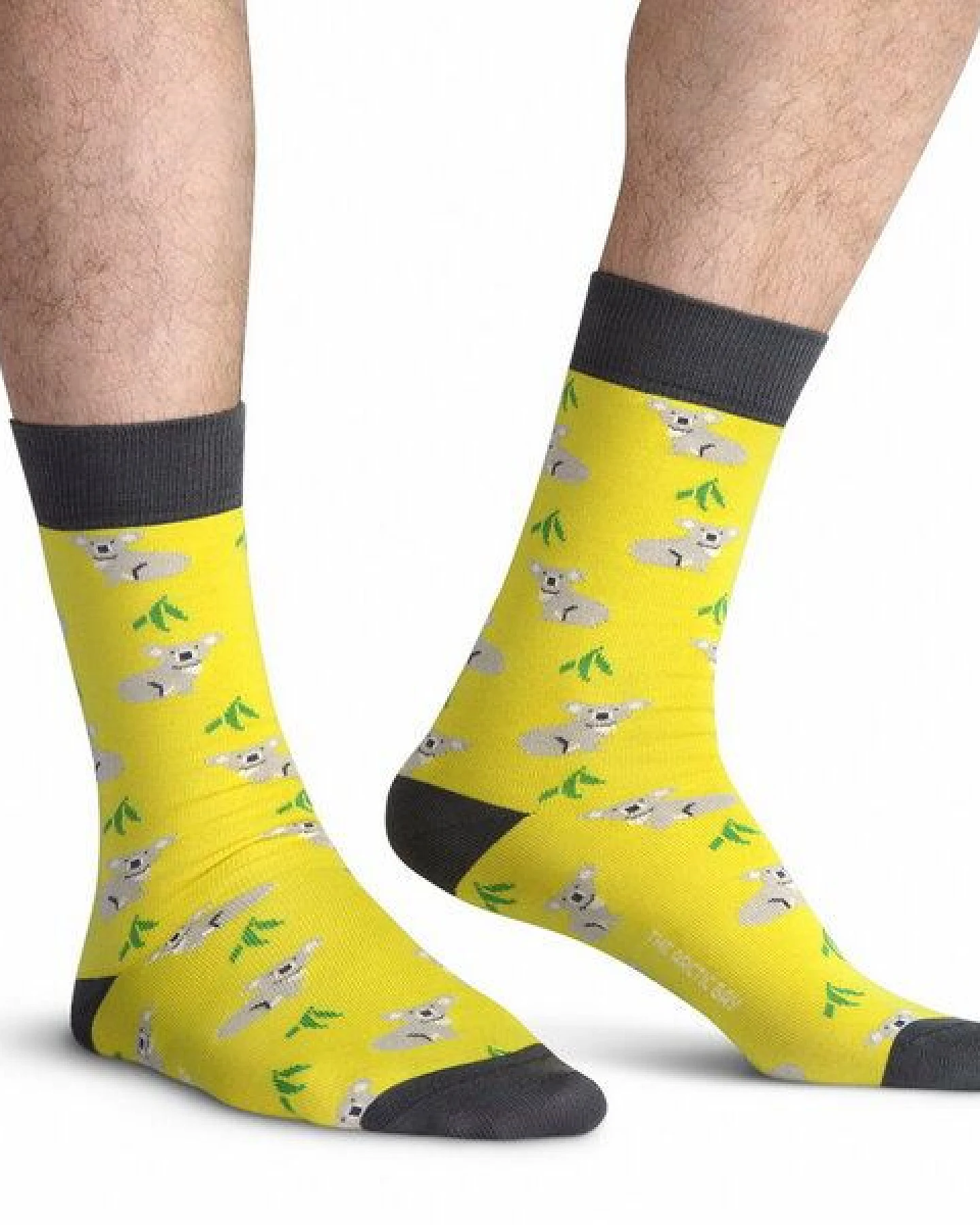 The Arctic Bay Die Arctic Box - Manbarra Edition - 4 Paar Socken – Ansicht 3