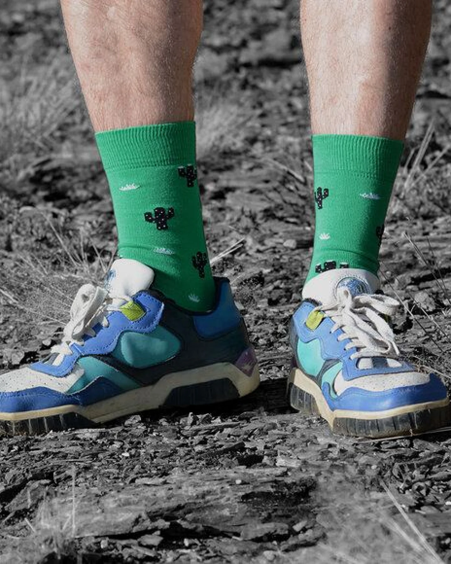 The Arctic Bay Socken 4er-Pack aus Bio-Baumwolle – Amazonas Edition – Doppelfadig, Nachhaltig & Fair Hergestellt – Ansicht 2