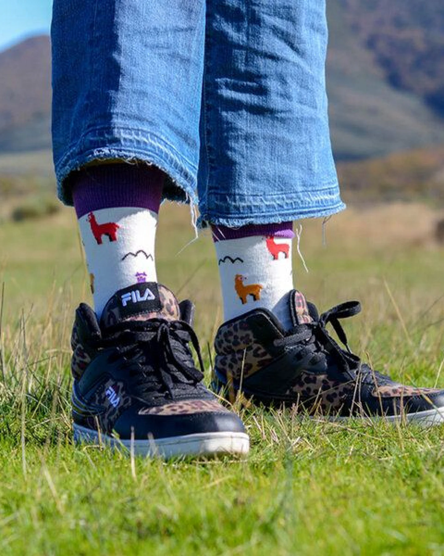 The Arctic Bay Socken 4er-Pack aus Bio-Baumwolle – Orun Edition – Doppelfadig, Nachhaltig & Fair Hergestellt – Ansicht 2