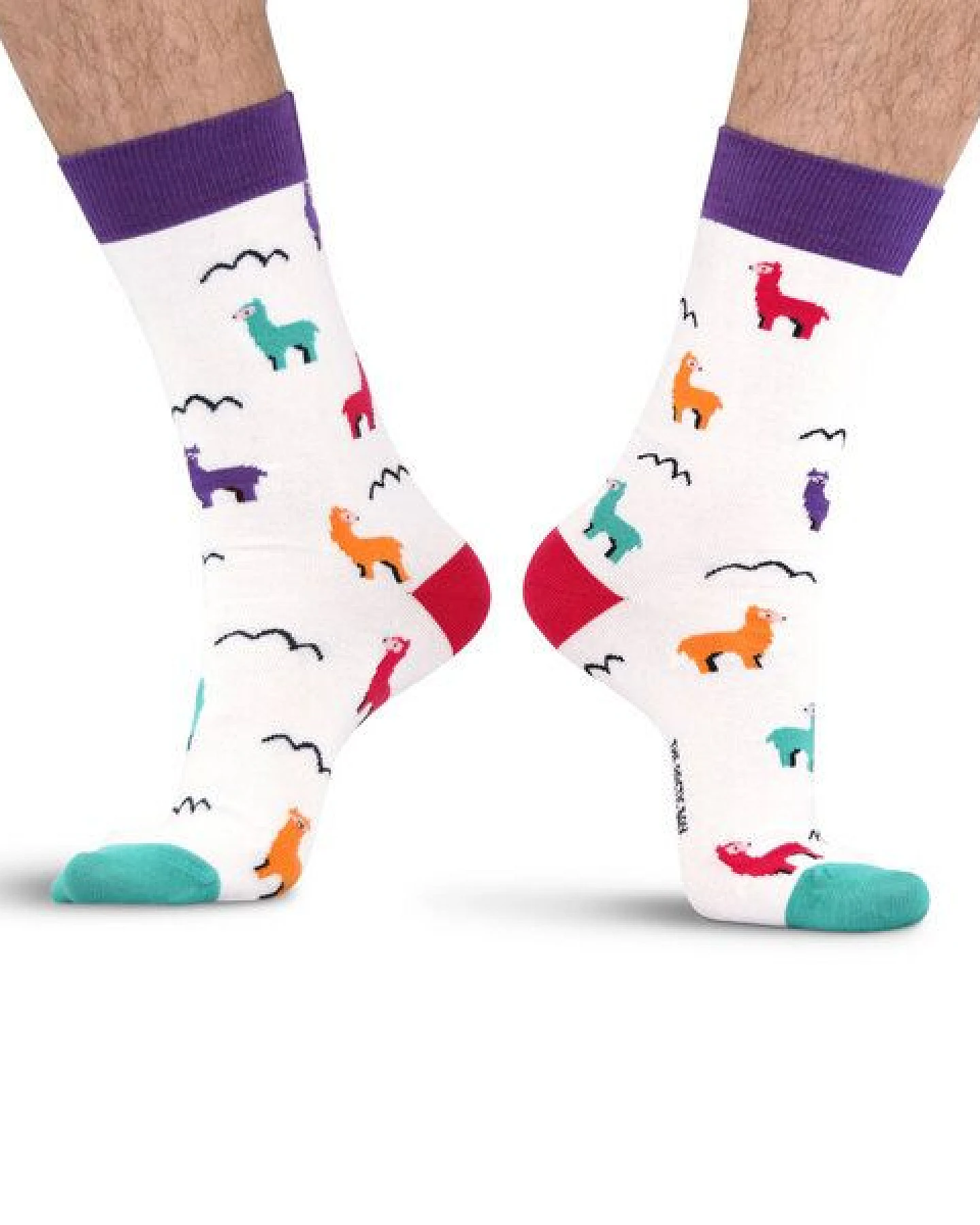 The Arctic Bay Socken 4er-Pack aus Bio-Baumwolle – Orun Edition – Doppelfadig, Nachhaltig & Fair Hergestellt – Ansicht 4