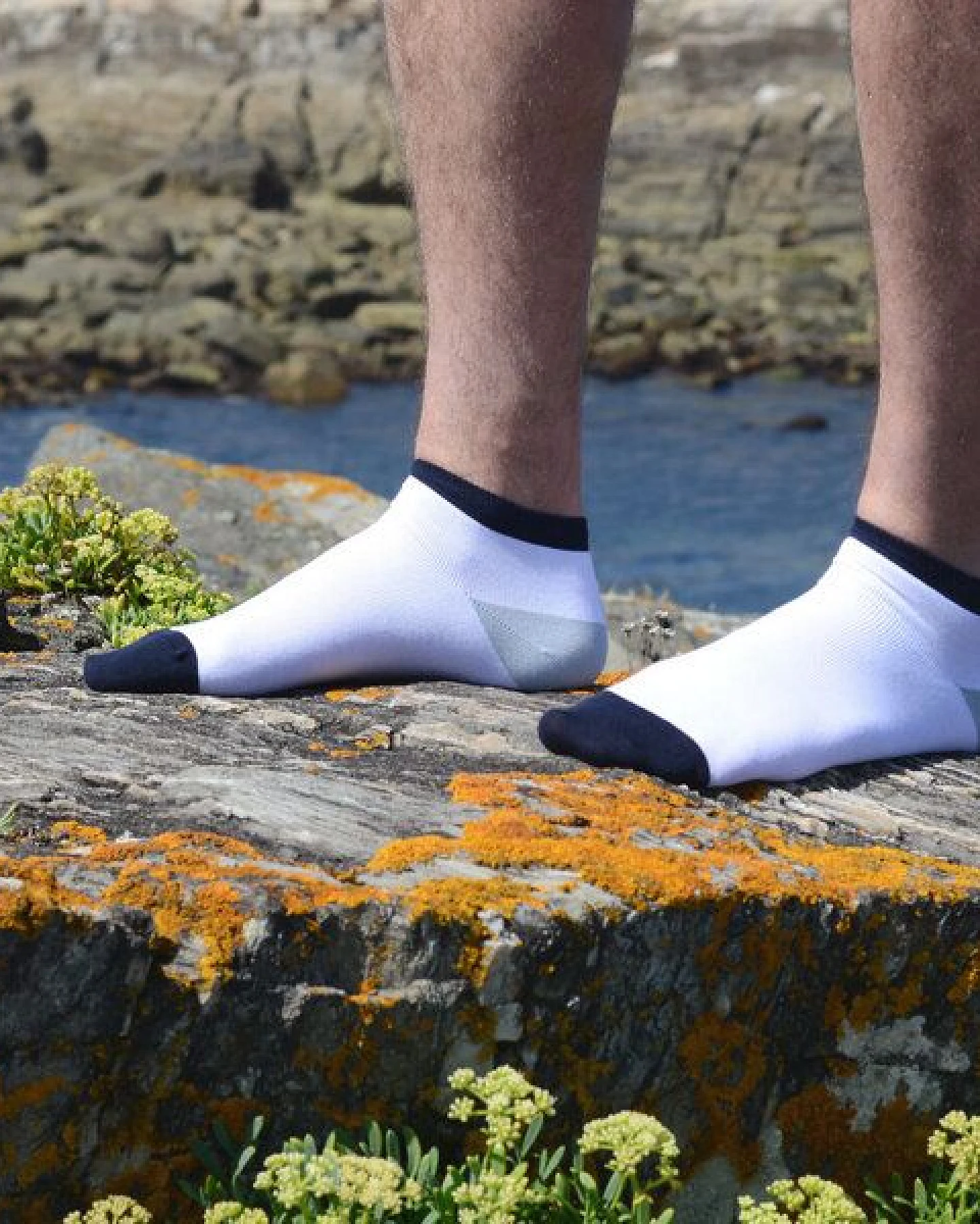The Arctic Bay Bio-Baumwoll-Knöchelsocken 5er Pack – Brezza Edition – Nahtlos, Atmungsaktiv & Bequem – Nachhaltig in der EU gefertigt – Ansicht 2