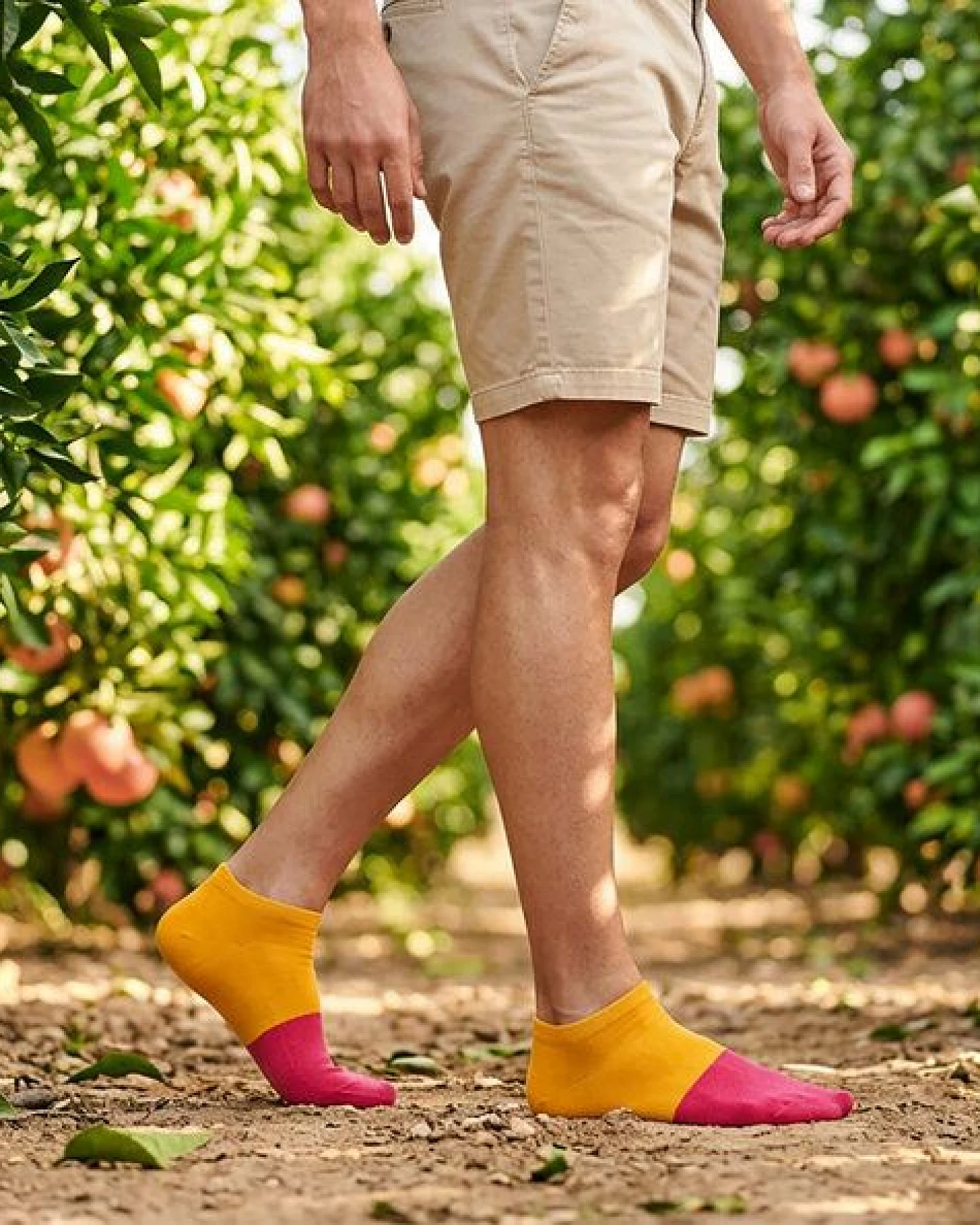The Arctic Bay Bio-Baumwoll-Knöchelsocken 5er Pack – Luma Edition – Weich, Atmungsaktiv & Bequem – Nachhaltig in der EU gefertigt – Ansicht 3