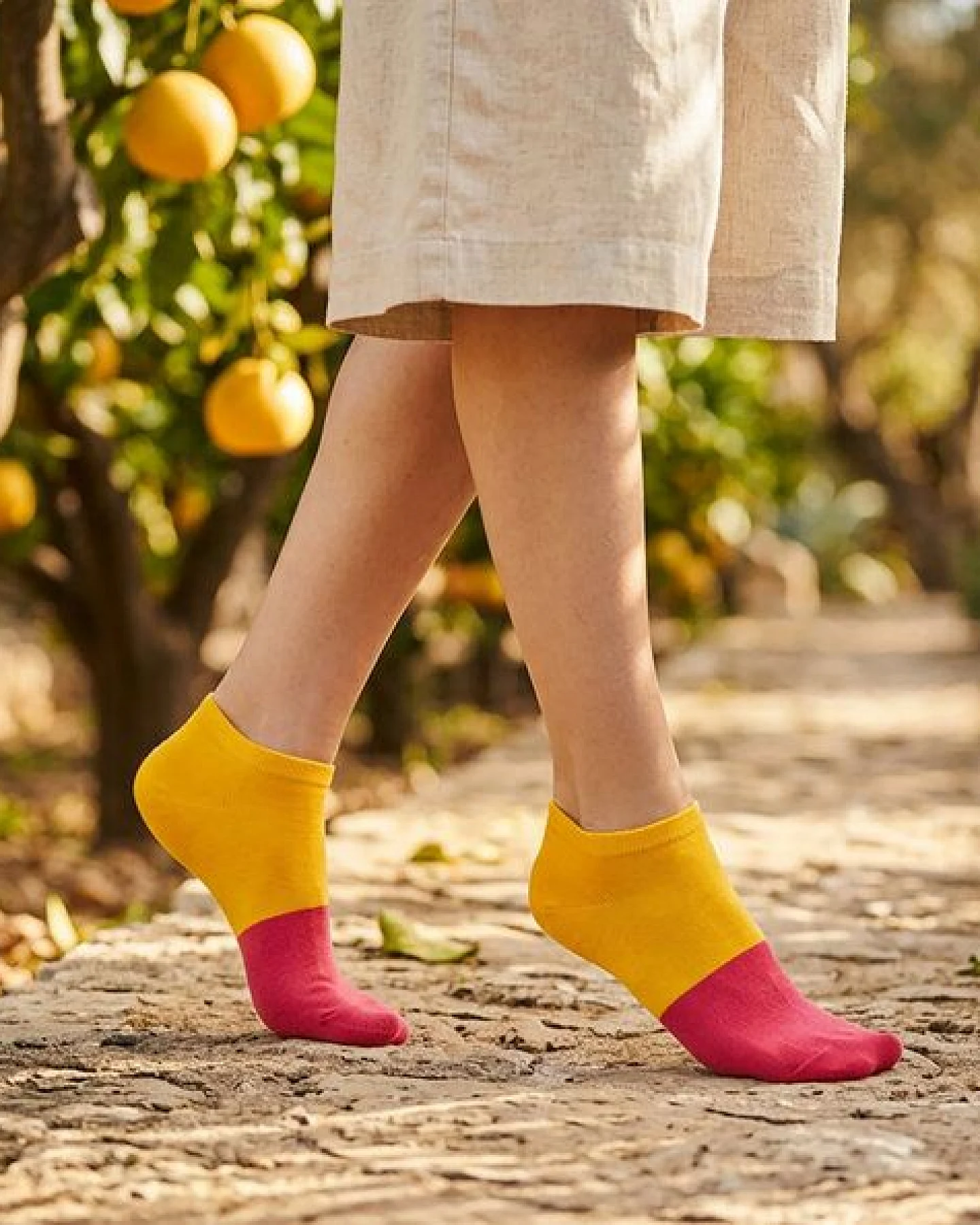 The Arctic Bay Bio-Baumwoll-Knöchelsocken 5er Pack – Luma Edition – Weich, Atmungsaktiv & Bequem – Nachhaltig in der EU gefertigt – Ansicht 3
